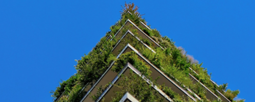 Diseño sin título (1)-Aug-01-2022-09-08-16-09-AM